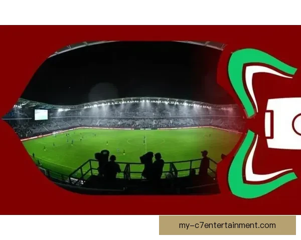 2024非洲杯决赛塞内加尔惜败科特迪瓦错失冠军荣耀